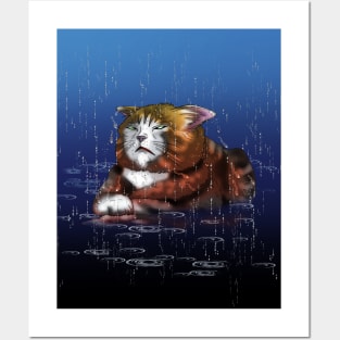 rainy wet tuxedo cat Posters and Art